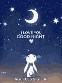 Good Night Bunny GIF