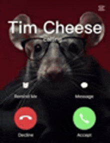 a rat wearing glasses is talking on a cell phone with tim cheese .