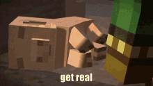 Get Real Minecraft GIF - Get Real Minecraft Minecraft Story Mode GIFs