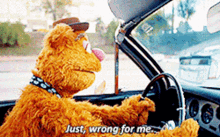 The Muppets Fozzie Bear GIF - The Muppets Fozzie Bear Just Wrong For Me GIFs