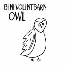 benevolent barn owl veefriends owl kind barn owl