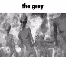 a group of aliens are dancing in a black and white photo with the words `` the grey '' above them .