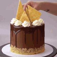 a chocolate cake with whipped cream and tortilla chips