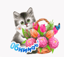 цветы кошка GIF - цветы кошка тюльпаны GIFs