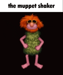 Muppets Muppet Shaker GIF - Muppets Muppet Shaker GIFs