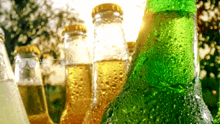 Bottles GIF - Bottles GIFs