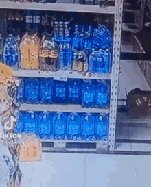 a person is standing in front of a shelf filled with lots of blue bottles of water .