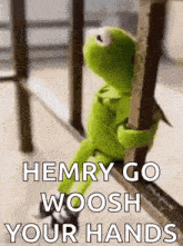 kermit the frog is sitting on a railing holding onto a railing and saying `` hemry go woosh your hands '' .