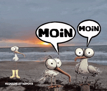 Morgen Möwie GIF - Morgen Möwie Moin Moin GIFs
