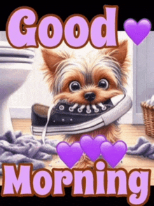 a picture of a dog with a shoe in its mouth and the words " good morning "