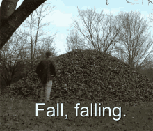 Fall Falling GIF - Fall Falling Fall Weather GIFs