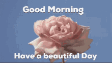Good Morning Roses GIF - Good Morning Roses White GIFs