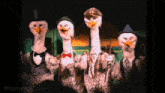 a group of birds are standing next to each other and the website mousesteps.com is visible