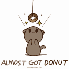 Adorable Cat GIF - Adorable Cat Donut GIFs