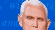 Pence Fly GIF - Pence Fly On GIFs