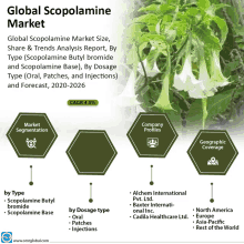 Global Scopolamine Market GIF - Global Scopolamine Market GIFs