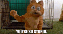 Garfield Youre So Stupid GIF - Garfield Youre So Stupid Youre An Idiot GIFs