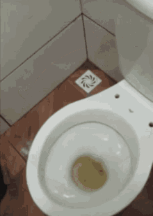Toilet GIF - Toilet GIFs