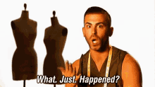 What Just Happened Project Runway GIF - What Just Happened Project Runway Sassy GIFs