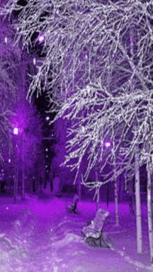 Purple Snow GIF - Purple Snow Landscape GIFs