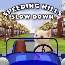 Speeding Kills Slow Down GIF - Speeding Kills Slow Down Don'T Speed GIFs