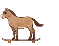 a horse wearing sunglasses rides a skateboard on a white background