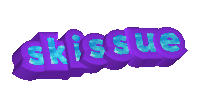 a 3d rendering of the word ski issue
