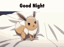 Eevee Pokemon GIF - Eevee Pokemon Sleep GIFs