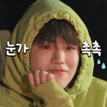 a person wearing a green hoodie with chinese writing on the bottom