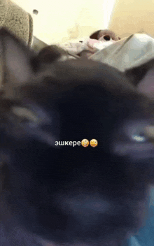 a close up of a black cat with a smiley face and the words " ehkepe " on it