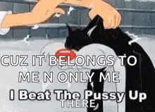 Beat Pussy Bad Cat GIF