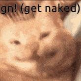 Get Naked Mecleverest GIF - Get Naked Mecleverest Funny GIFs
