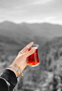 a woman 's hand is holding a glass of tea with a mountain in the background