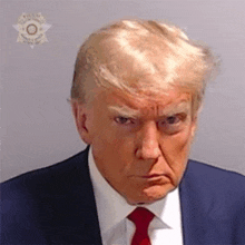 Trump Mug Shot GIF - Trump Mug Shot GIFs