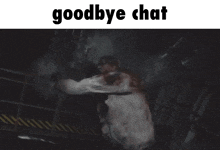 a screenshot of a video game with the words goodbye chat above it