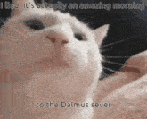 Dalmus Cats GIF - Dalmus Cats Anime Dance GIFs
