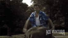 Ace Ventura Elephant GIF - Ace Ventura Elephant GIFs