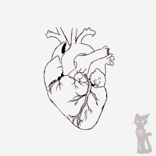 Heart Explode Hearts GIF