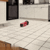 Cat Cardboard GIF - Cat Cardboard Roll GIFs