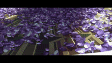 a bunch of purple petals are falling on a black and gold background