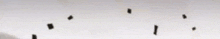 a group of birds are flying in the air against a white wall .