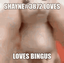 bingus binguscord shayne
