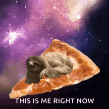 Sloth Pizza GIF - Sloth Pizza I Love Pizza GIFs