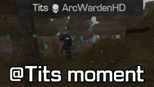 a screen shot of a video game with the words tits arcwardenhd @tits moment
