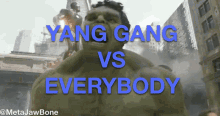 a picture of the hulk with the words " yang gang vs everybody "