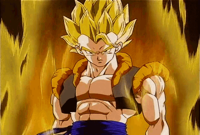 Dragon Ball Z Fusion GIF