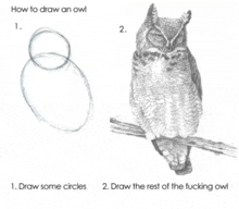 a drawing of an owl sitting on a branch with instructions on how to draw an owl