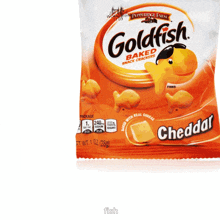 Goldfish Hi Deranged GIF