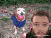 a dog is holding an apple in its mouth next to a man
