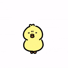 chick.angry yellow